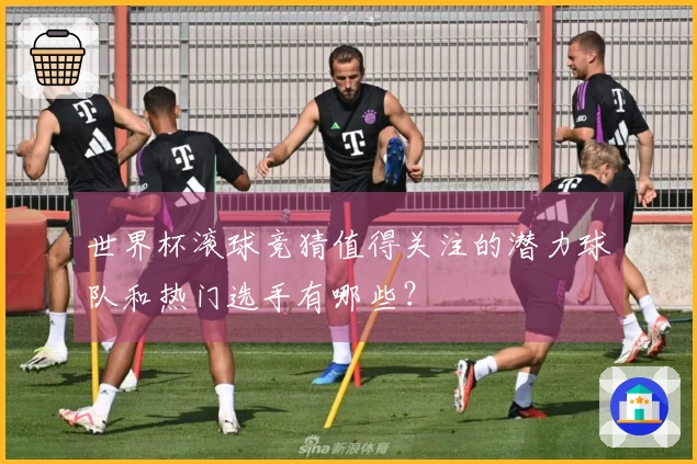 世界杯滚球竞猜值得关注的潜力球队和热门选手有哪些？