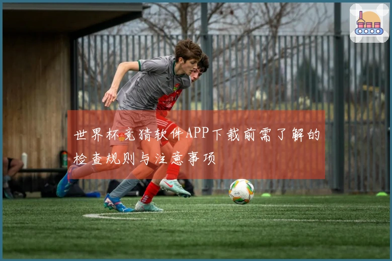 世界杯竞猜软件APP下载前需了解的检查规则与注意事项