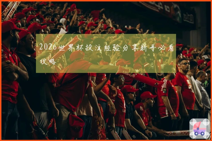 2026世界杯投注经验分享新手必看攻略
