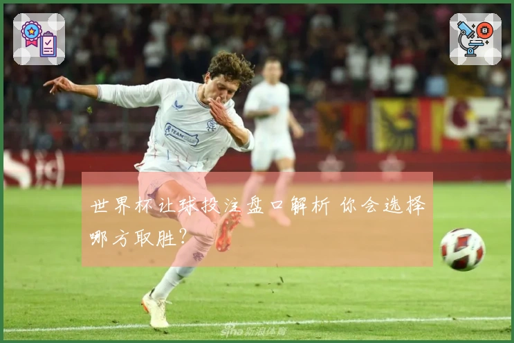 世界杯让球投注盘口解析 你会选择哪方取胜?