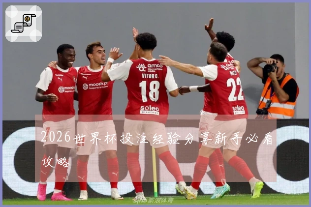 2026世界杯投注经验分享新手必看攻略