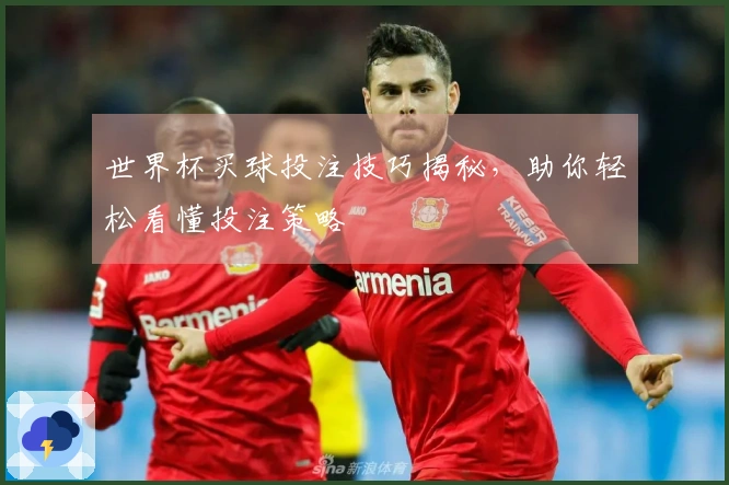 世界杯买球投注技巧揭秘，助你轻松看懂投注策略