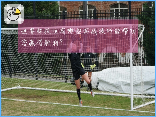 世界杯投注有哪些实战技巧能帮助您赢得胜利？