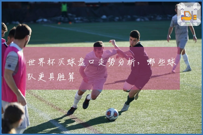 世界杯买球盘口走势分析,哪些球队更具胜算