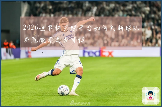2026世界杯买球平台如何判断球队夺冠概率是否可信