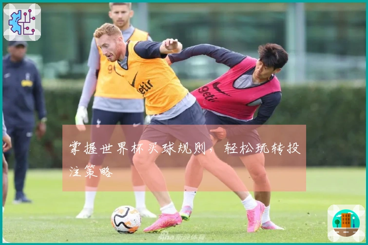掌握世界杯买球规则,轻松玩转投注策略