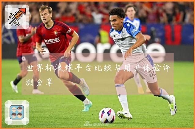 世界杯滚球平台比较与用户体验评测分享