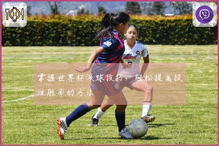 掌握世界杯滚球技巧，轻松提高投注胜率的方法