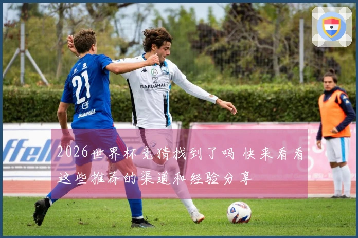 2026世界杯竞猜找到了吗 快来看看这些推荐的渠道和经验分享