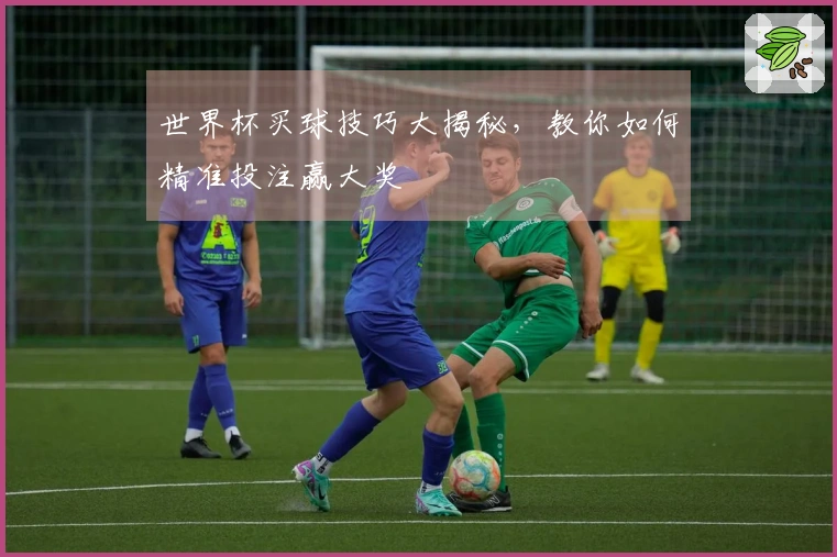 世界杯买球技巧大揭秘，教你如何精准投注赢大奖